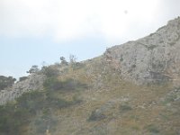 Mallorca 244